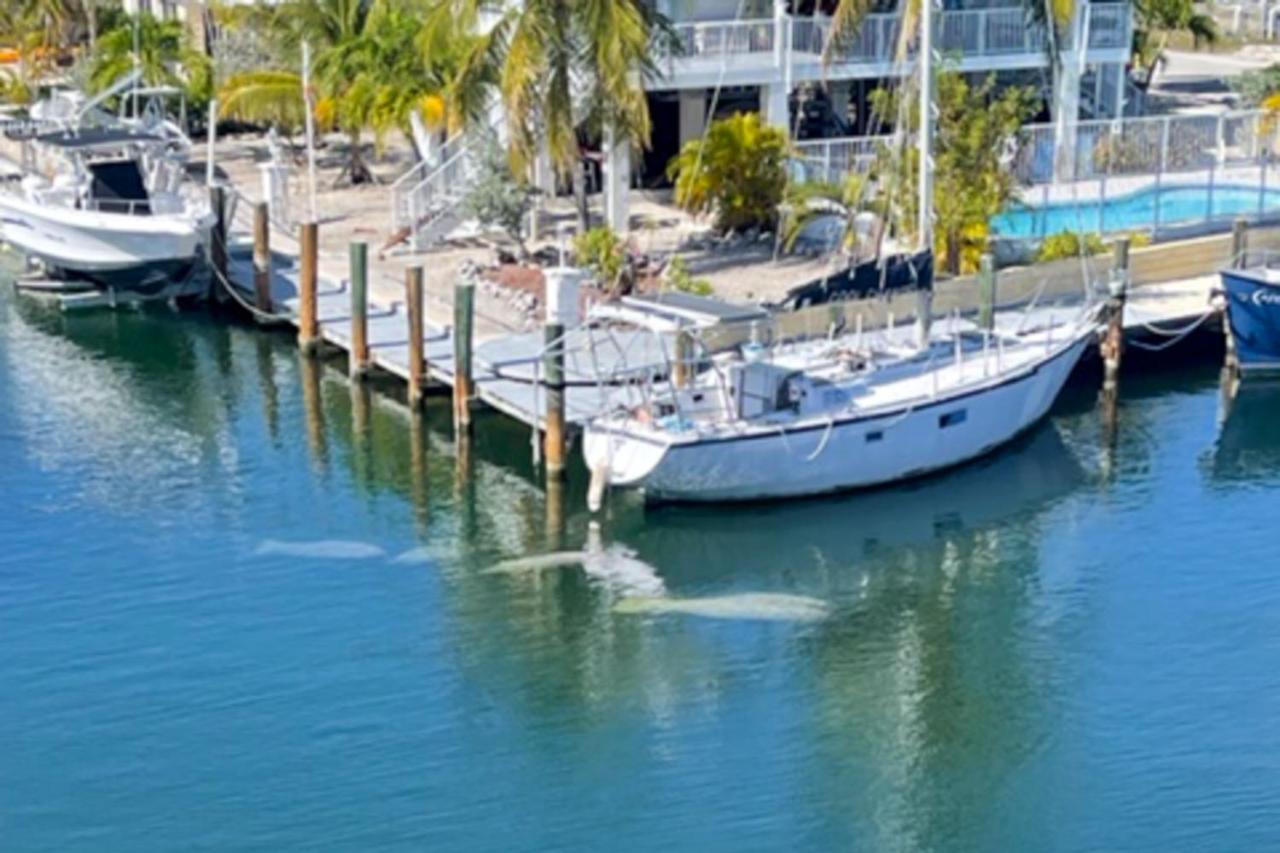 Skipjack Resort & Marina #404 Marathon Exterior photo